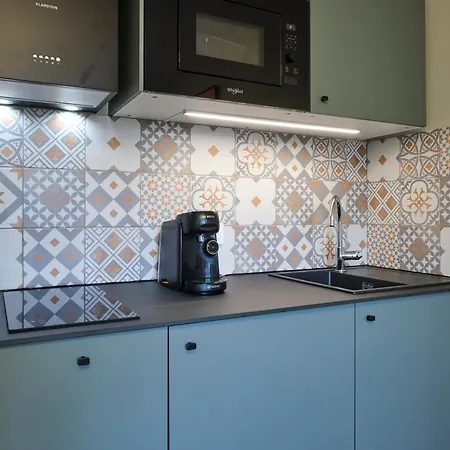 公寓 Au Celadon Parking Gratuit, Wifi, Terrasse, Piscine 卡尔卡松